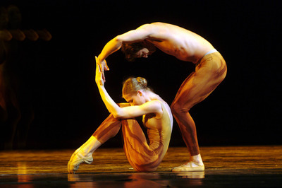 A Nap szerettei A Nap szerettei